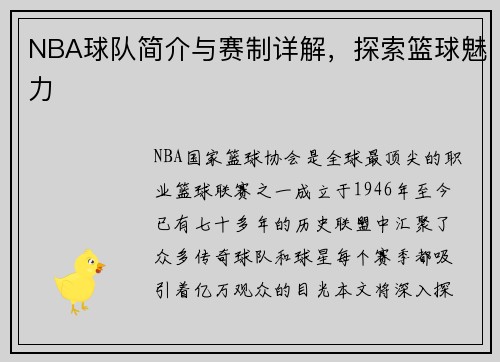 NBA球队简介与赛制详解，探索篮球魅力